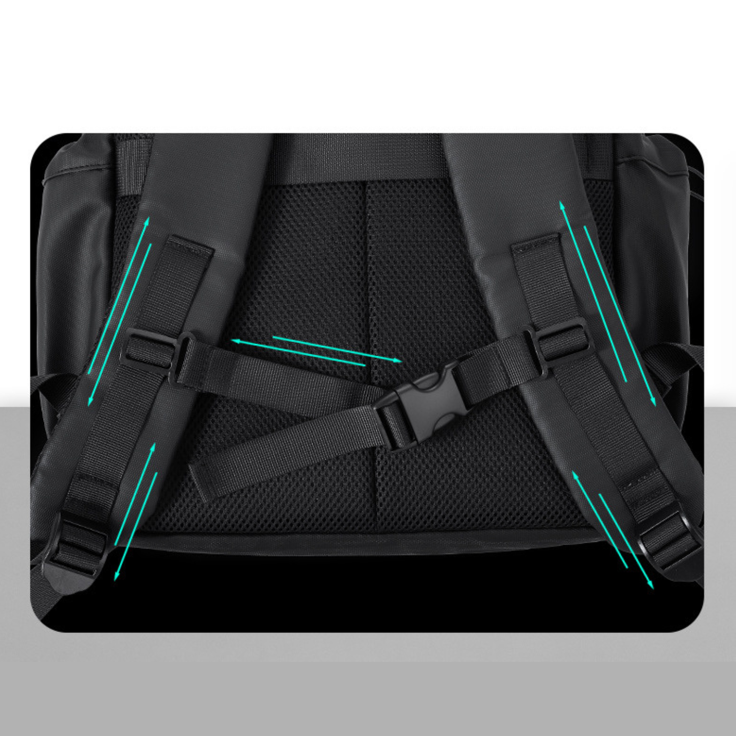 Alpine Harness Backpack